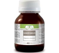 renaco Ganofungus 60 capsule flacone 24 g