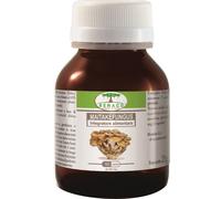 renaco italia r.i. group srl Maitake fungus 60 capsule