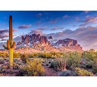Renaiss 1.5x1m Cactus di montagna sfondo Flora del deserto Tramonto Natura Paesaggio Fotografia Sfondo Viaggio Americano Escursione Cowboy Bambino Adulto Ritratto Riprese Vinile Studio Props