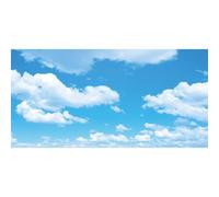 Renaiss 2.5x1.2m Sfondo di fotografia del cielo Sfondo di nuvole bianche Cielo blu Banner per feste in vinile di grandi dimensioni Baby Shower Bambini Adulti Ritratto Foto Video Shoot Studio Puntelli