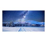 Renaiss 2.5x1.2m Sfondo invernale da favola Sfondo fotografico con foresta innevata e cielo stellato per feste natalizie decorazioni domestiche Oggetti di scena per ritratti fotografici in studio