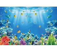 Renaiss 2.5x1.8m Sfondo del mondo sottomarino Barriera corallina dei pesci sottomarini Sfondo fotografico Baby shower Decorazioni per feste di compleanno per bambini Vinyl foto studio oggetti di scena