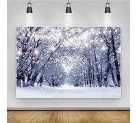 Renaiss 3x2m Scenario invernale Sfondo Colore Bokeh Bianco Neve Foresta Paese delle meraviglie Paesaggio Fotografia Sfondo Decorazione per feste Kid Adulto Ritratto Shooting Studio Puntelli