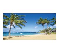 Renaiss 4.5x2.5m Estate Mare Sfondo Tropicale Oceano Spiaggia sabbiosa Palme Fotografia Sfondo Bambini Adulto Vacanza Viaggio Luna di Miele Vinile Photo Booth Shoot Studio Puntelli