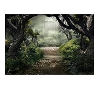 Renaiss Fondale con castello delle fiabe e castello medievale profondo nella foresta verde fumosa nella giungla avventura sfondo fotografico per decorazioni di Halloween, striscione per feste in