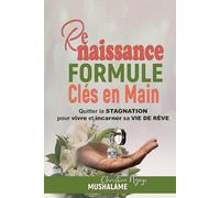 Renaissance: Formule Clé en Main pour quitter la STAGNATION afin d'atteindre sa VIE DE RÊVE