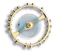 Renata Ricambio Polso E Tasca Orologio Balance Completo Riparazione 419 487