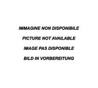 Renault CLIO 3 RS 2.0 16V (197CV) / GORDINI 2006-2009 Posteriore con uscita