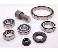 Renault JB0 JB1 Cuscinetto Del Cambio Kit Riparazione Revisione Fine Clio Magane