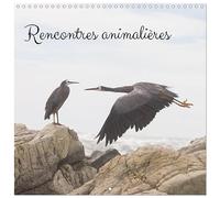 Rencontres animalières (Calendrier mural carré 2026 30 x 60 cm (ouvert)) Calendrier double avec une page pour vos prises de notes