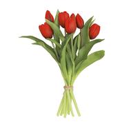 Rendi bello il per tuo spazio con il nostro per splendido bouquet di tulipani