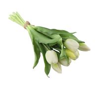 Rendi bello il per tuo spazio con il nostro per splendido bouquet di tulipani