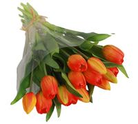 Rendi bello il per tuo spazio con il nostro per splendido bouquet di tulipani