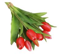Rendi bello il per tuo spazio con il nostro per splendido bouquet di tulipani