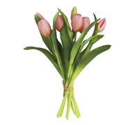 Rendi bello il per tuo spazio con il nostro per splendido bouquet di tulipani