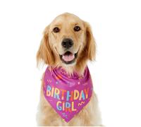 Rendi indimenticabile il compleanno del tuo cane con il nostro set di abbigliamento per il compleanno del cane, giocattolo da masticare per