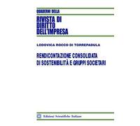 Rendicontazione consolidata di sostenibilità e gruppi societari