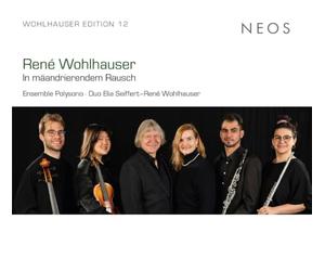 René Wohlhauser: in Mäandrierendem Rausch