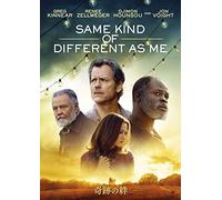 Renee Zellweger - Same Kind Of Different As Me [Edizione: Giappone]