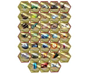 Renegade Games: Heroscape: Glyph Pack - Espansione, 33 nuovi glifi, accessorio per giochi di miniature, componente aggiuntivo da tavolo, sfrutta i poteri magici del Valhalla