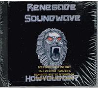 Renegade Soundwave - How You Doin