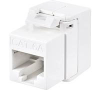 Renkforce Adattatore di rete CAT 6a