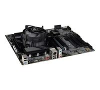 Renkforce Kit tuning per PC Intel® Core™ i5 14600K 5.3 GHz 16 GB RAM DDR4