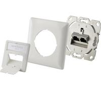 Renkforce Network Socket Flying Cat 6 2 Port Pearl White (RF-4393024)