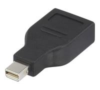 Renkforce RF-4174572 DisplayPort Adattatore [1x Spina Mini DisplayPort - 1x Pr