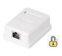 Renkforce RF-4473849 Presa di rete Da parete CAT 6 1 Porta Bianco