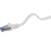 RenkForce RJ45 Network Connection Cavo Cat 6A U/FTP 0,25 m Grigio altamente flessibile, con protezione del naso a riposo, Renkf NEW