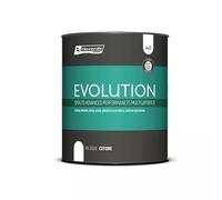 Renner - Rio verde - smalto all'acqua opaco universale da 0,75 lt / RL2040 - Nero