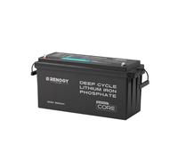 Renogy 12V 200Ah LiFePO4 Mini batteria al litio, con Bluetooth 200ABMS protezione completa per oltre 5000 cicli di scarica profonda, batteria solare 12V, perfetta per camper e barche, indipendente