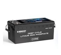 Renogy Batteria al litio 12 V 300 Ah LiFePO4 con auto-riscaldamento, 3840 Wh 300 A BMS 5000 cicli su batteria al litio da 24 V 48 V per impianto solare domestico, cabine motore marine, camper