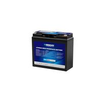 Renogy Batteria al litio LiFePO4 da 12 V, 20 Ah, con protezione Bluetooth BMS, 4000 cicli, batteria solare da 12 V, 20 Ah, per motore da traino, cabine, camper, IP65