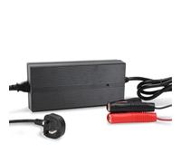 Renogy Caricabatteria LiFePO4 da 20 A, 12 V, AC-DC, portatile, al litio, fosfato, con clip a coccodrillo, per auto, camper, moto e camion