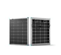 Renogy Pannello solare bifacciale monocristallino, 115 W, 12 V, modulo solare ad alte prestazioni per batterie da 12 V, camper, casa, balcone, barche, tetti agricoli e applicazioni indipendenti dalla