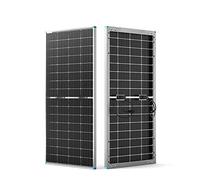 Renogy Pannello solare bifacciale monocristallino da 220 W, modulo PV ad alte prestazioni, modulo solare da 12 V, per camper, casa, balcone, barche, tetti agricoli, batterie e applicazioni