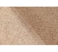 RENOLIT ALKORPLAN Membrana Armata Touch - Sublime - Spessore 2,0 mm / 21 x 1,65 m / 34,65 m²