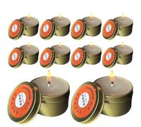 Renopfect Candele di sopravvivenza, per esterni, portatili, per campeggio, 10 pezzi, illuminazione di emergenza portatile in caso di interruzione di corrente e prevenzione delle crisi
