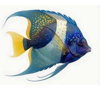 Renqidian Kit Per Punto Croce Per Adulti Principianti Pesci tropicali Kits Ricamo Punto Croce Mestieri Decorazioni la Casa-40x50 cm (Tela Prestampata 11CT)