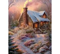 Renqidian Kit Per Punto Croce Per Adulti Principianti Scenario igloo Kits Ricamo Punto Croce Mestieri Decorazioni la Casa-40x50 cm (Tela Prestampata 11CT)