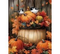 Renqidian Kit Per Punto Croce Per Adulti Principianti Zucche e uccelli foglia d'acero Kits Ricamo Punto Croce Mestieri Decorazioni la Casa-40x50 cm (Tela Prestampata 11CT)