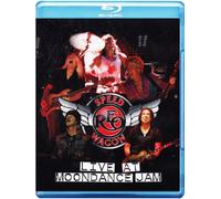 Reo Speedwagon - Live at Moondance Jam