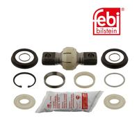 Rep. Set Puntone Assale Con Palla Stud E Grasso Adatto per Man, Irisbus, Iveco ,