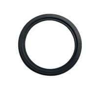 RepairCoffee Giunto della Pompa per Bestway P6029 - Pezzo di Ricambio Giunto Filtro a Sabbia Guarnizione O-Ring Accessorio per Piscina Manutenzione Riparazione