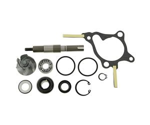 reparaturkit acqua pompa per , , Peut 250 CCM