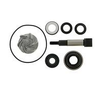 reparaturkit acqua pompa per SH300i