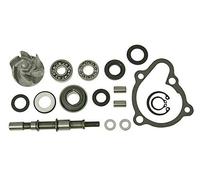 reparaturkit pompa acqua - Arctic Cat 250 2 X 4 (2005)