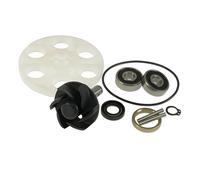 reparaturkit pompa acqua moto Force, Minarelli (Onda, lager)
